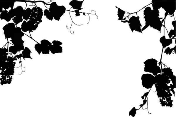 葡萄和树叶剪影帧 — 图库矢量图片