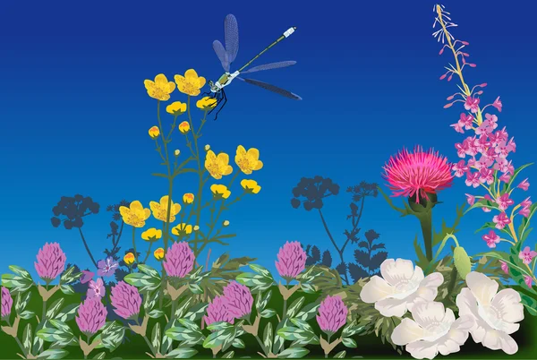 Libélula en la ilustración campo de flores — Archivo Imágenes Vectoriales