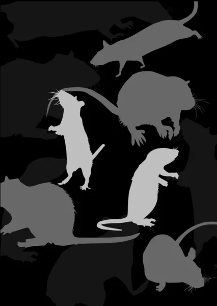 Background with rats on black — Stock Vector