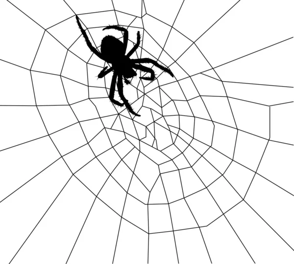 ウェブで黒いクモの図 — ストックベクタ