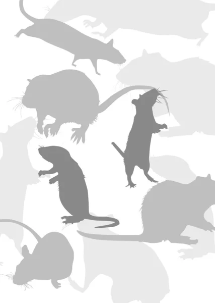 Grauer Hintergrund mit Ratten — Stockvektor