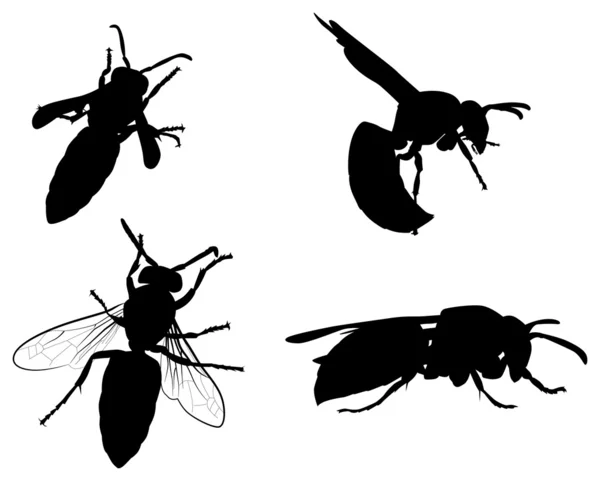 Four wasp silhouettes collection — Stock Vector