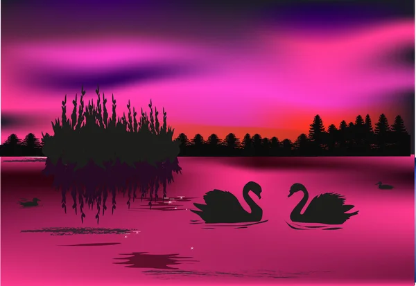Familia del cisne en el lago bosque — Archivo Imágenes Vectoriales