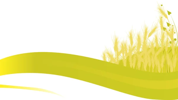 Goldener Weizen auf weißem Hintergrund — Stockvektor