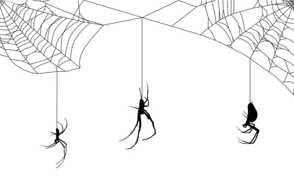 Web με τρεις αράχνες — Διανυσματικό Αρχείο
