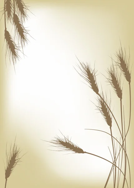 Темная пшеница на золотом фоне — стоковый вектор
