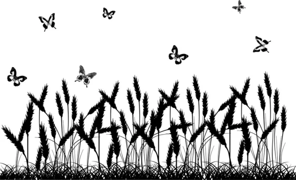 Siluetas de trigo y mariposas aisladas en blanco — Archivo Imágenes Vectoriales