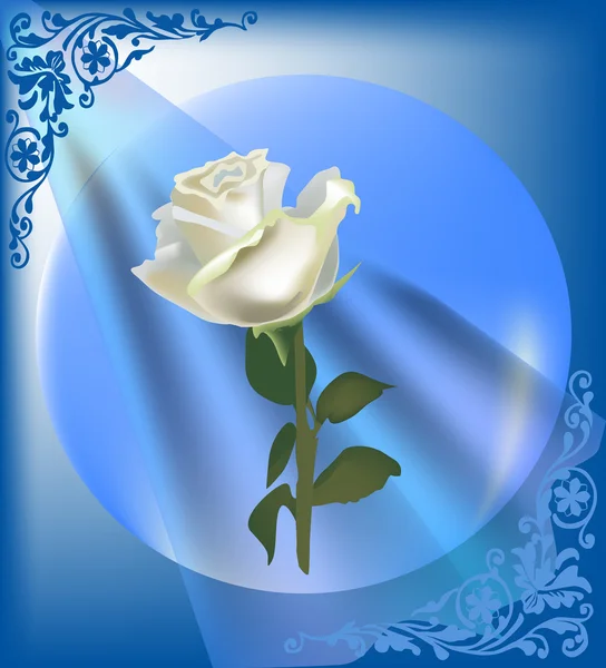 Jeden bílý květ růže v modrém rámečku — Stockový vektor