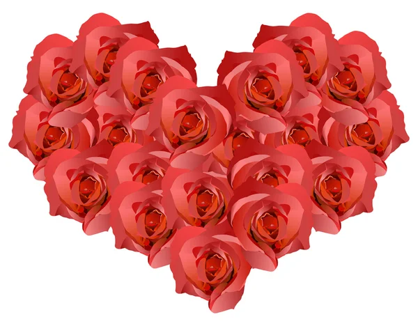 Rosas vermelhas decoração do coração no branco — Vetor de Stock