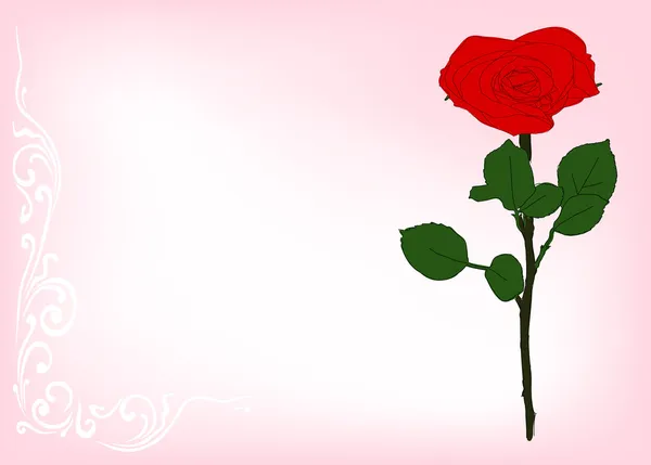 Яскрава червона квітка троянди на рожевому фоні — стоковий вектор