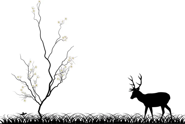 Isolerat hjortar nära blommade körsbärsträd — Stock vektor