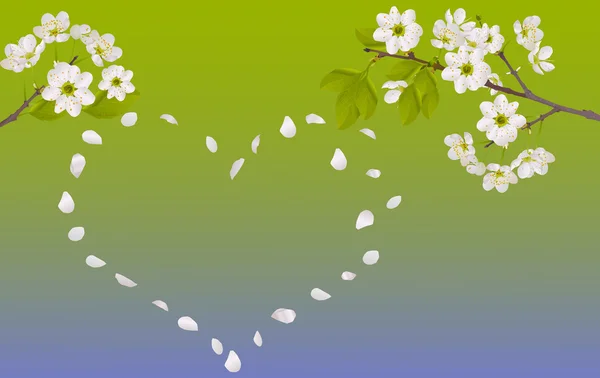 桜の花の花弁からの心 — ストックベクタ