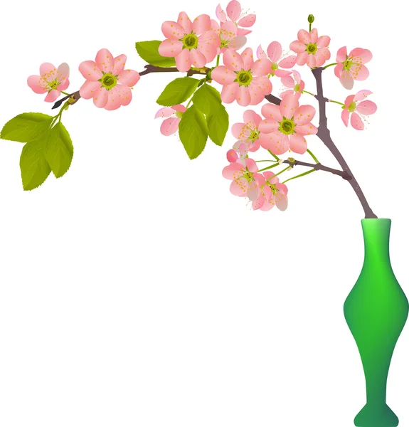 花瓶に桜の木の花支店 — ストックベクタ