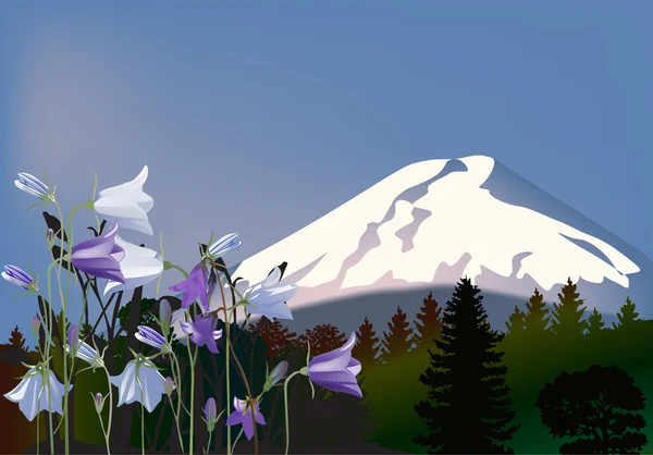 Blaue Blumen in der Nähe des Berggipfels — Stockvektor