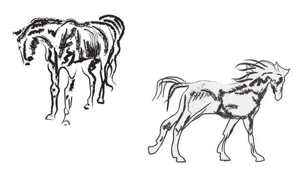 孤立在白纸上的两匹马 sketchs — 图库矢量图片