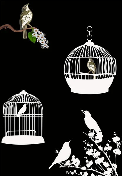 Birdcages και τα πουλιά που απομονώνονται σε μαύρο — Διανυσματικό Αρχείο