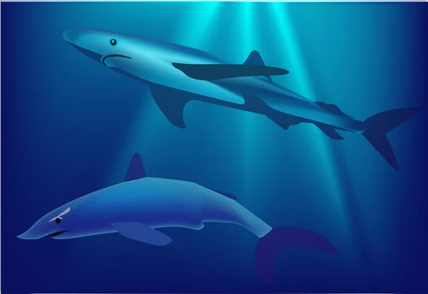 两个鲨鱼在图中蓝色的大海 — 图库矢量图片