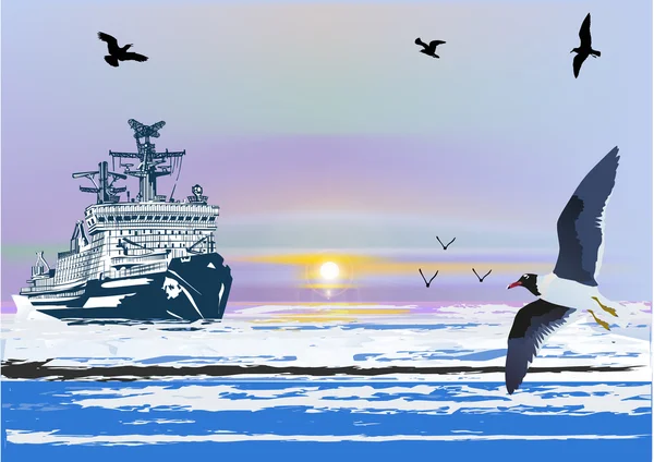 Large ship and seagulls — Stock Vector