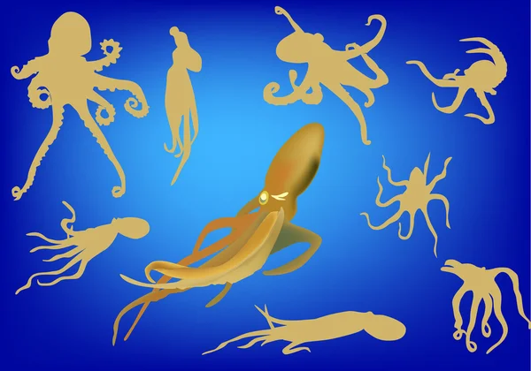 Inktvis en octopus silhouetten op blauw — Stockvector