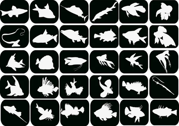 Set of white fishes on black — Stock Vector