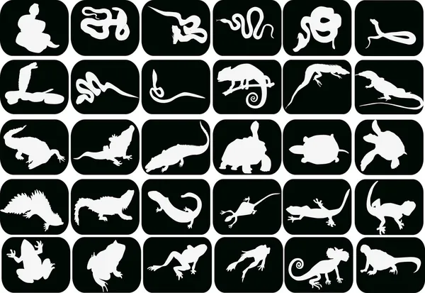 Conjunto de reptiles y anfibios sobre negro — Vector de stock