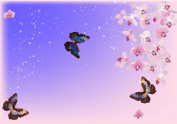 Drei Schmetterlinge und rosa Orchideen — Stockvektor
