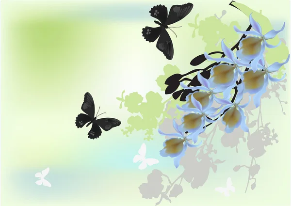 Helle Orchideenblüten und dunkle Schmetterlinge — Stockvektor