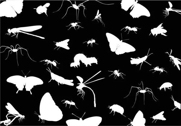 Εντόμων λευκό σιλουέτες φόντο — Διανυσματικό Αρχείο