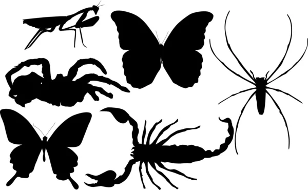 Seis siluetas negras de insectos — Vector de stock