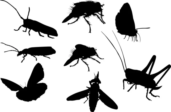 Oito silhuetas de insetos isoladas em branco — Vetor de Stock