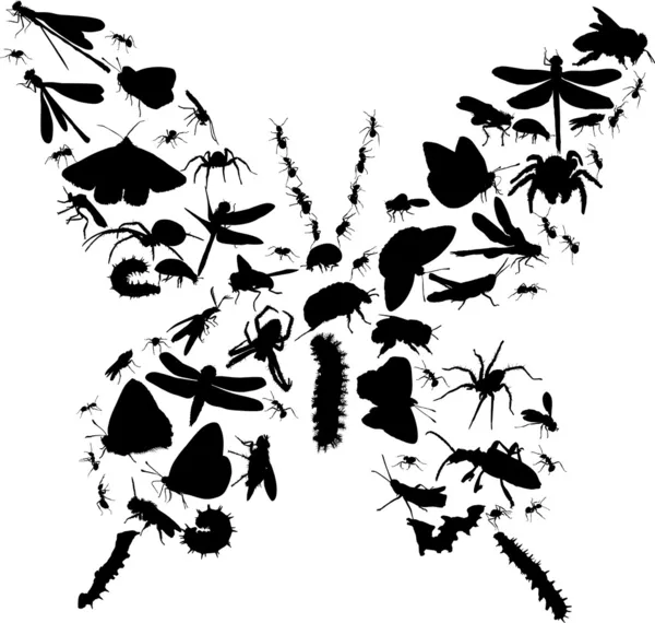 Πεταλούδα από εντόμων σιλουέτες — Διανυσματικό Αρχείο