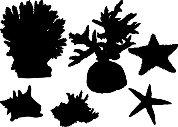 Set of sea invertebrate silhouettes isolated on white — Stock Vector