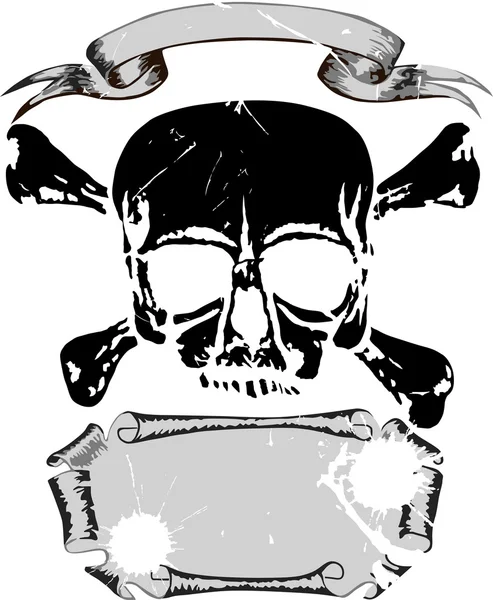 Crâne et défilement isolés sur blanc — Image vectorielle