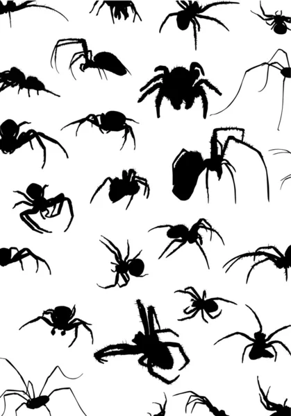 Background with black spiders — Stock Vector
