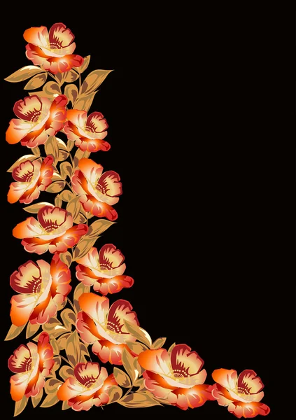 Oranje poppy bloemen hoek — Stockvector