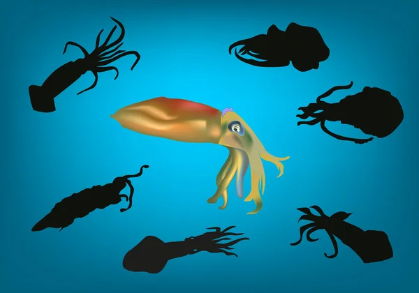 Sette calamari e polpi su blu — Vettoriale Stock