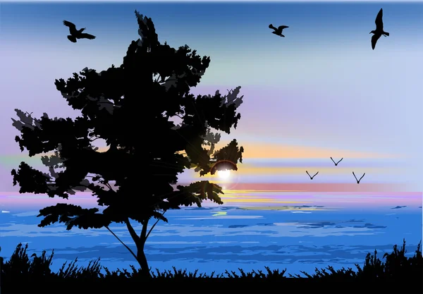 Single tree near blue sea at sunset — Stock Vector