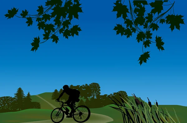 Cyclist in green landscape — Stock Vector
