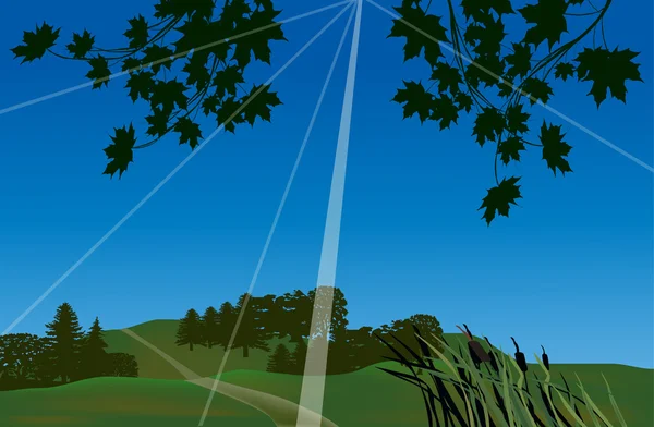 Landskap med gröna träd under blå himmel — Stock vektor
