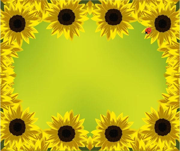 Frame van gele zonnebloemen op groene achtergrond — Stockvector