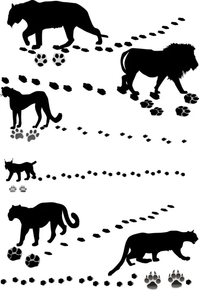 大型猫科动物与轨道 — 图库矢量图片