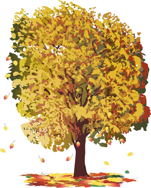 Goldener Herbstbaum isoliert auf weiß — Stockvektor