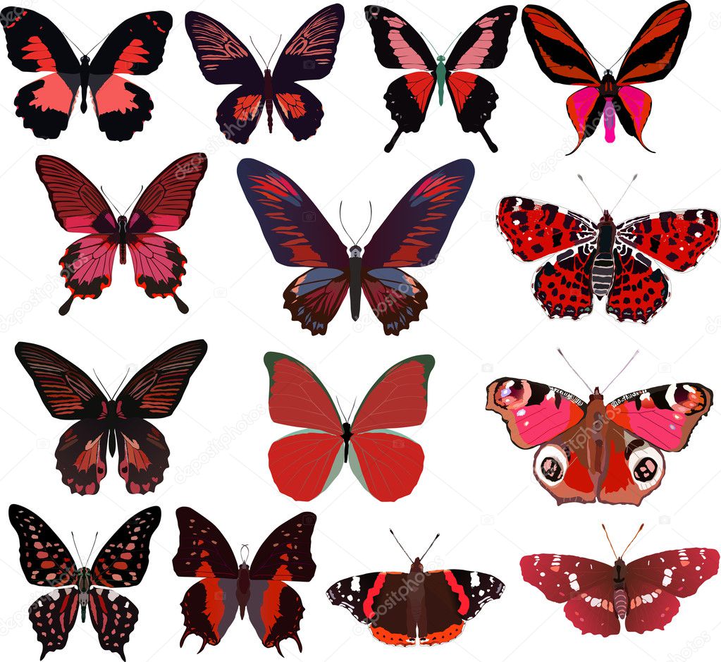 fourteen red butterflies isolated on white