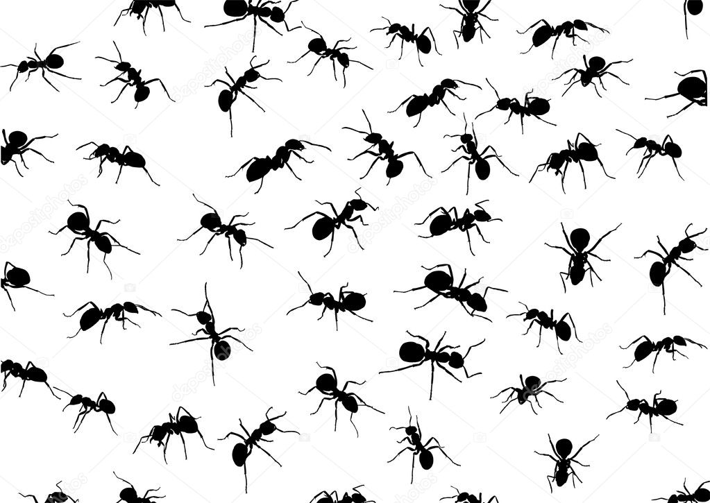 background with isolated ants