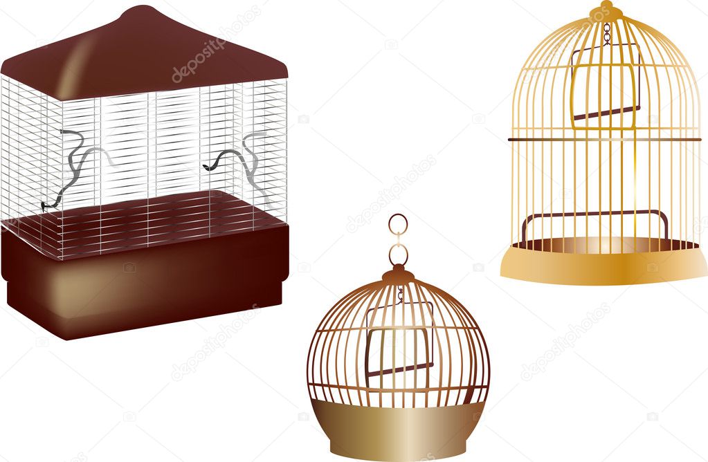 three empty color birdcages on white