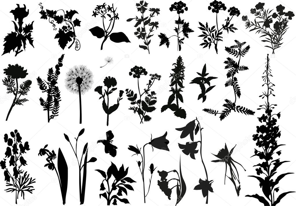 collection of wild flowers silhouettes