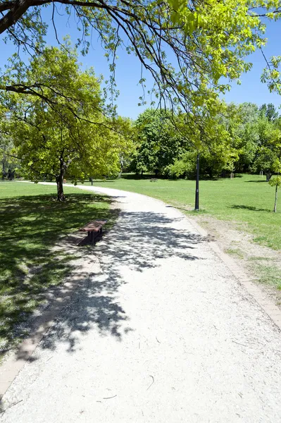 Route dans le parc d'ici l'été — Photo