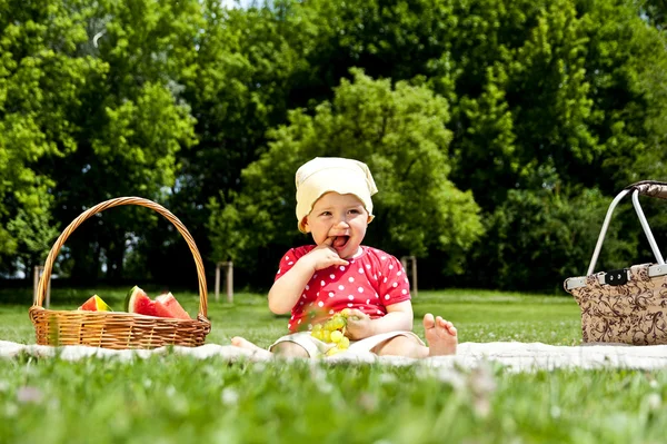 Dítě na piknik s ovocem — Stock fotografie