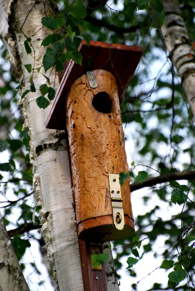 Bird feeder — Stock Photo, Image