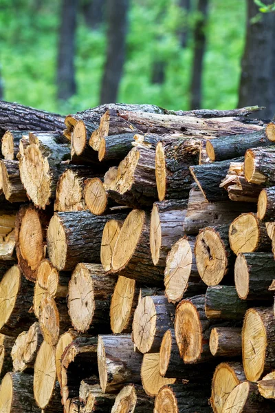 Kładzina z drewna — Zdjęcie stockowe